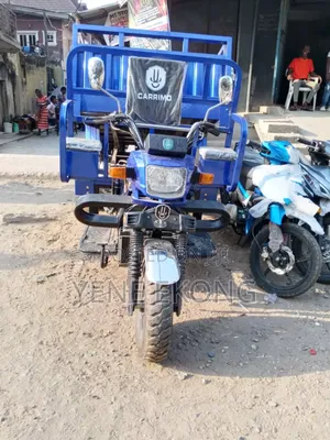 New Tricycle 2025 Blue