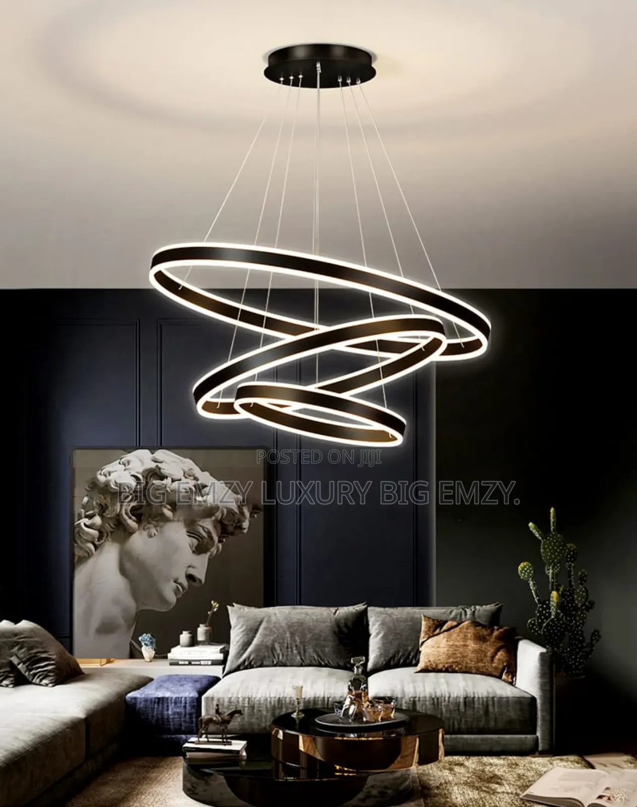 Led Dining and Living Room Lights.