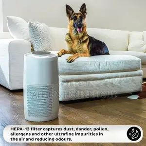 Instant 3-in-1 Air Purifier