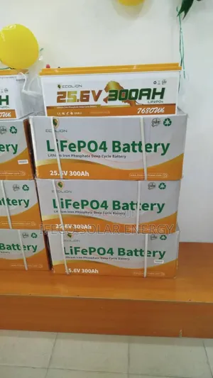 Ecolion Lithium Ion Battery 7.5kwh 24v