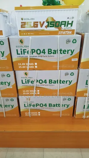 Ecolion Lithium Ion Battery 4kwh 24v