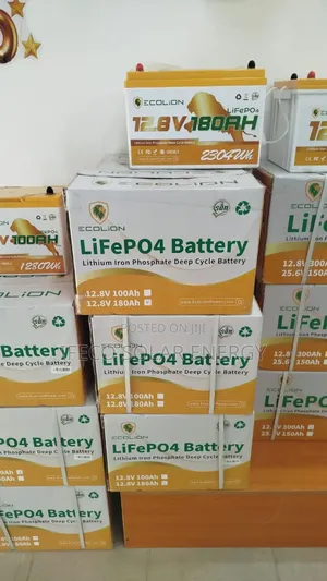 Ecolion Lithium Ion Battery