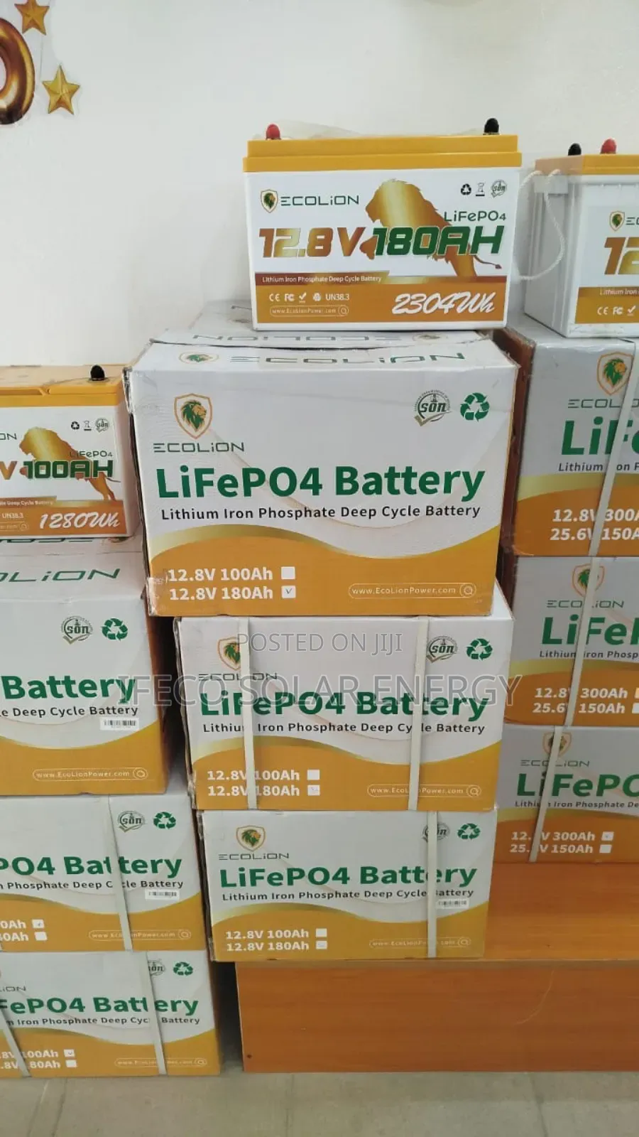 Ecolion Lithium Ion Battery