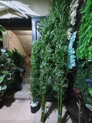 Bamboo Available in Three Sizes