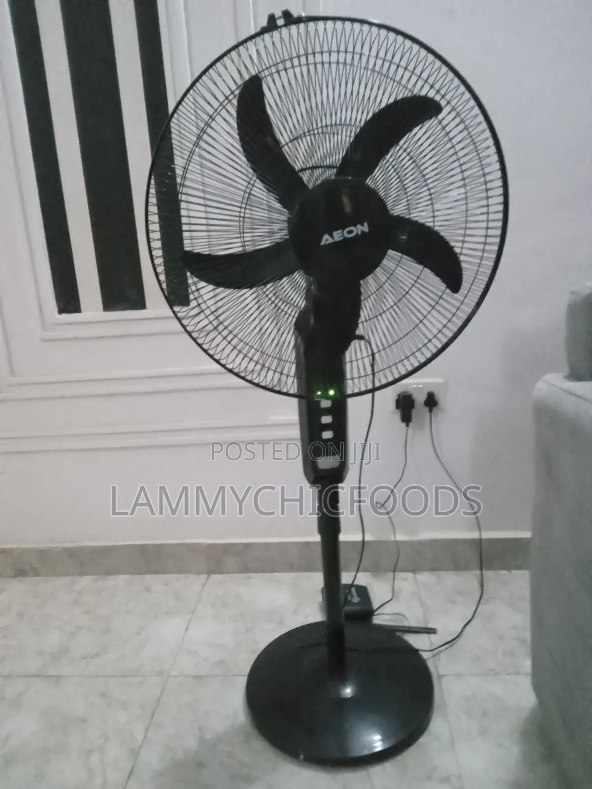 Aeon Standing Fan