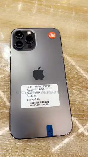 Apple iPhone 12 Pro Max 256 GB Black