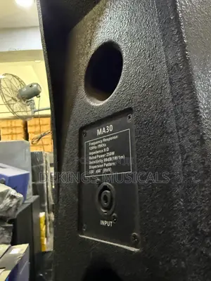 Mackie Ma30 Outdoor Speaker - Lounge Speaker
