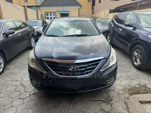 Hyundai Sonata 2013 Blue
