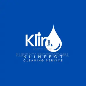 Professional and Expert Cleaner Needed