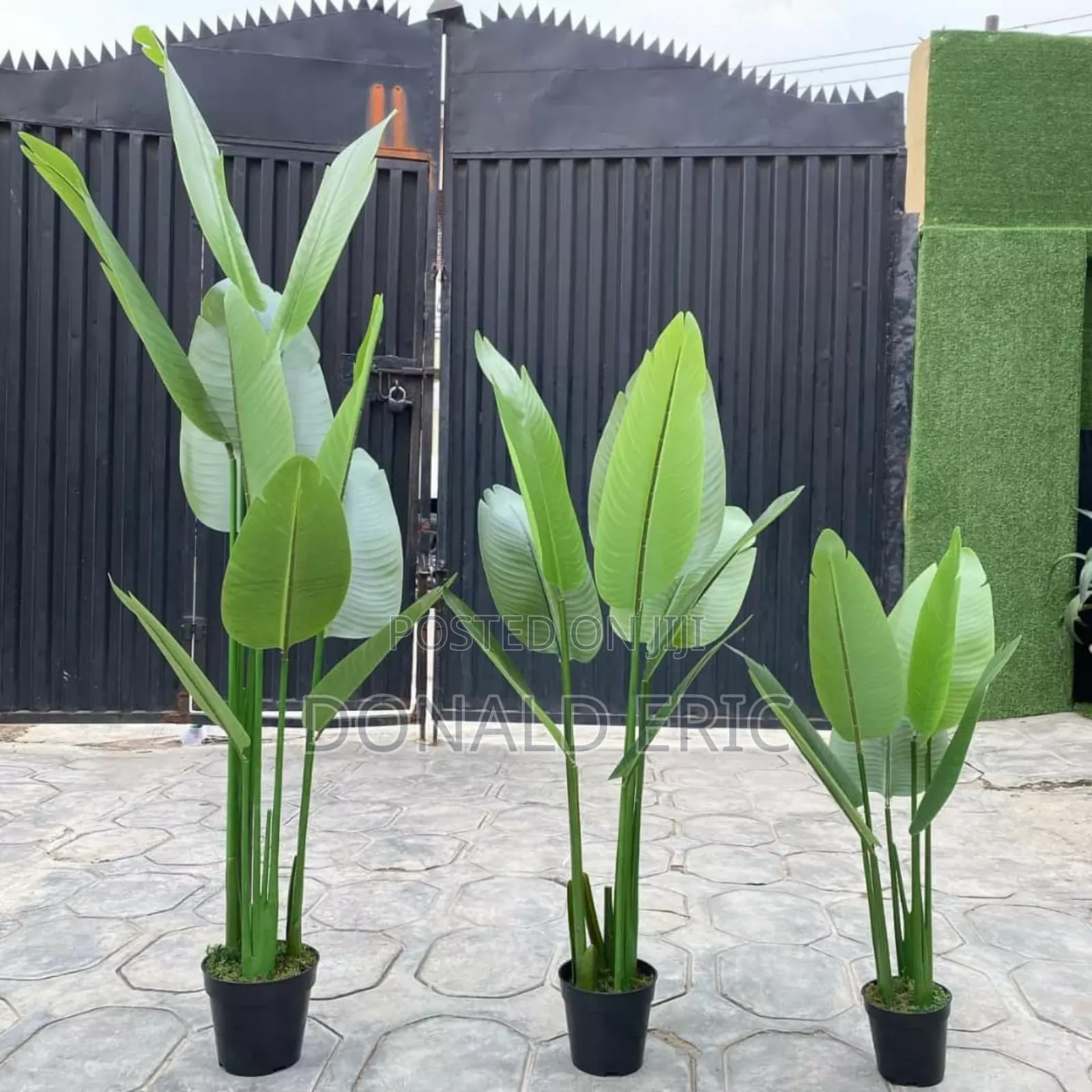Modern Stunning Flowers
