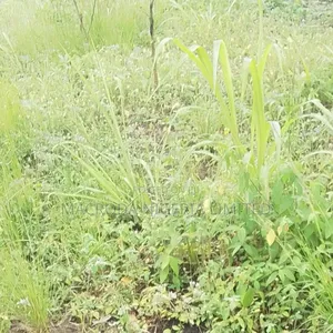 Joint Venture Land Available