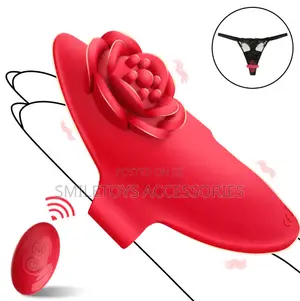 Couple Panty Vibrator
