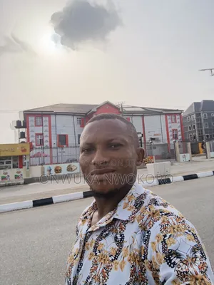 Mr Onwuka Nwokoro