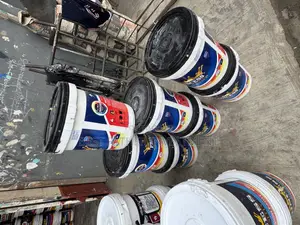 20 Liters Quality Emulsion Princess Paint