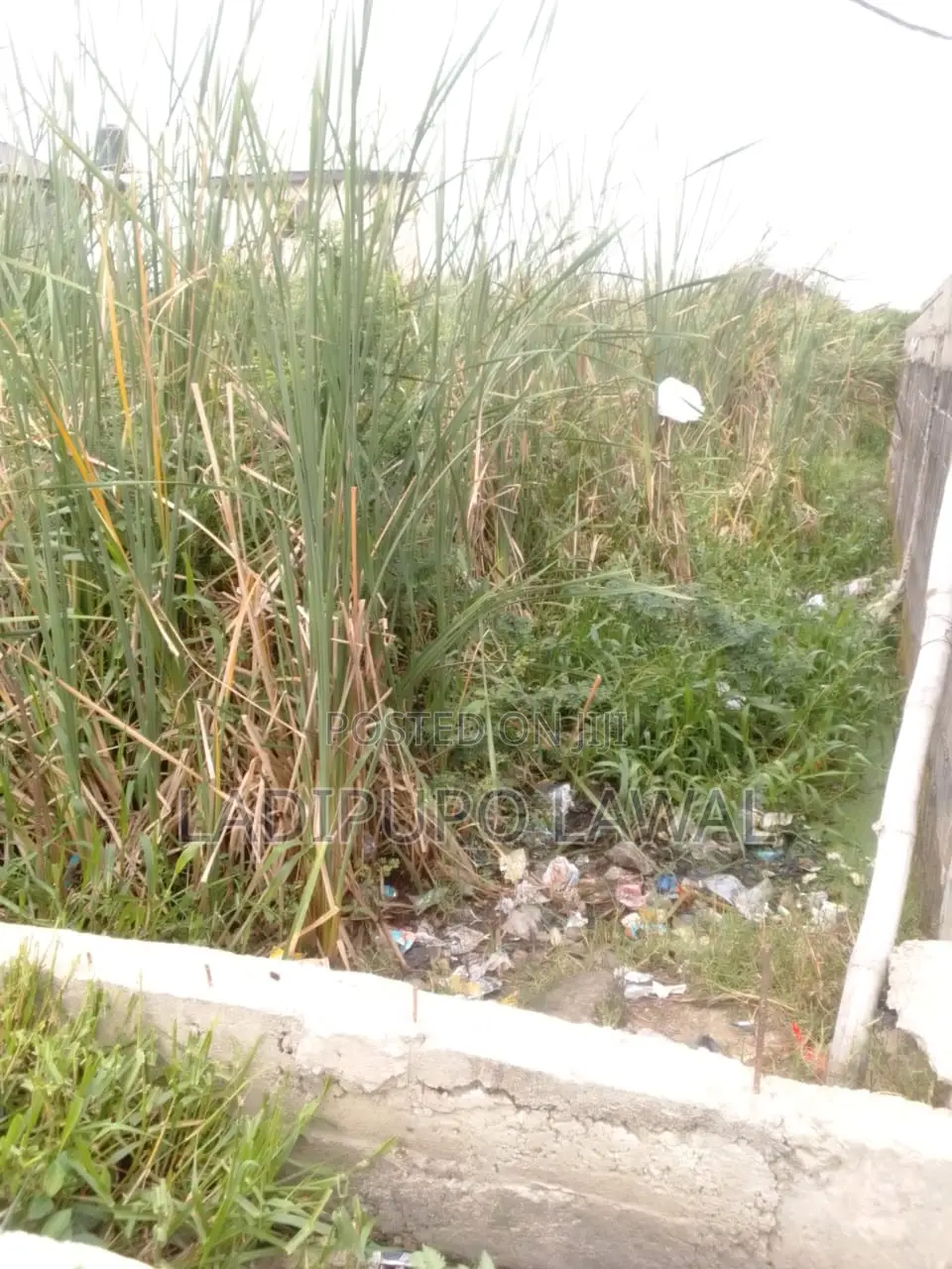 Half Plot of Land