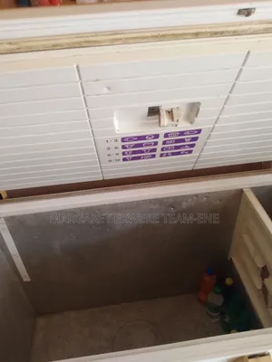 Skandiluxe Freezer 400 Liters