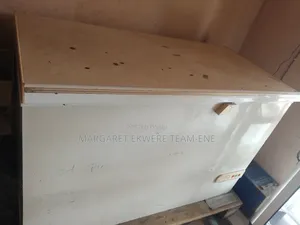 Skandiluxe Freezer 400 Liters