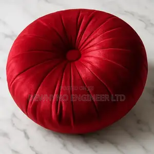 Beautiful Luxury Throw Pillows