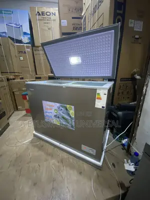 220litres High Quality Snowsea Freezer Bd-308