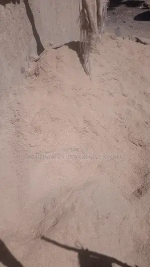 Rice Husk Per Bag