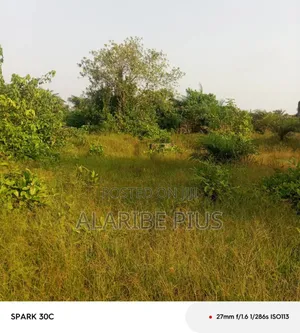 1,300 SQM of Residential Land 4 Sale at Wuye Main Abuja, Nigeria.