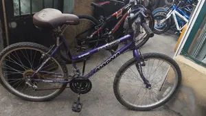 Size 20 Adult Bike