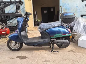 Electric Bike