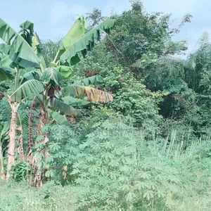 Land Selling at Abacha Estate