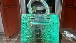 Green Croc 2-in-1 Handbag and Purse