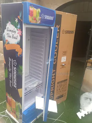 Snowsea 400 L Fridge Chiller – Perfect Working