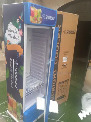 Snowsea 400 L Fridge Chiller – Perfect Working
