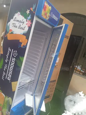 Snowsea 400 L Commercial Display Chiller