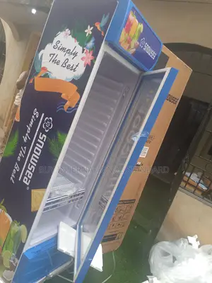 Snowsea 400 L Walk-in Style Chiller – Affordable