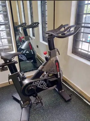 Commercial Exercise Bike