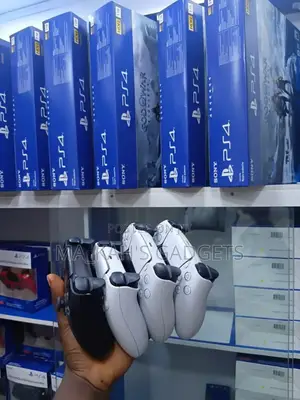 Ps5 Game Pad