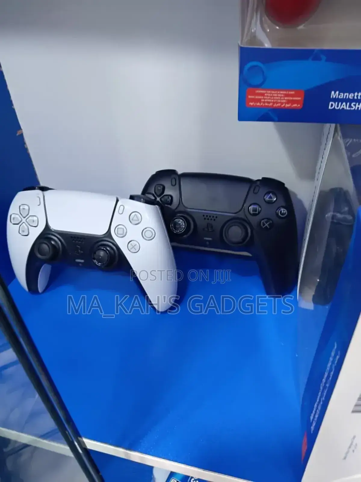Ps5 Game Pad
