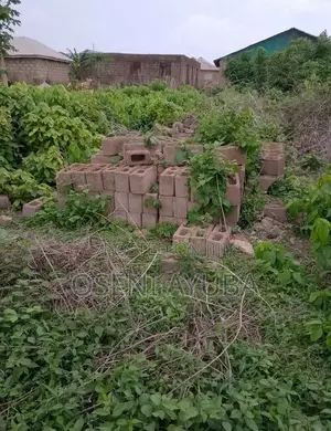 A Plot of Land