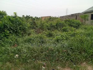 A Plot of Land