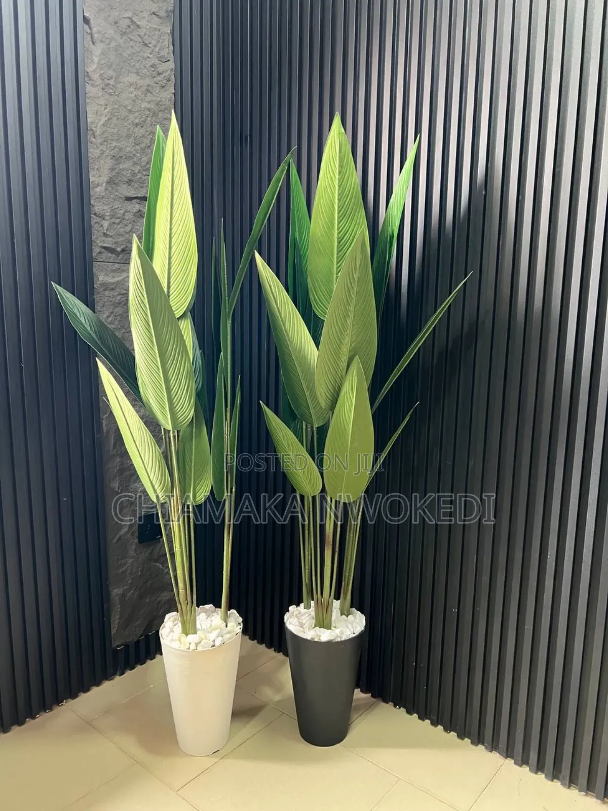 Interior Designer