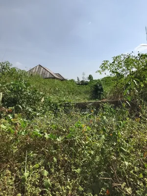 2 Plots of Land Confirm for Sale