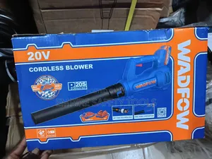 Wadfow Big Cordless Blower