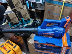 Wadfow Big Cordless Blower