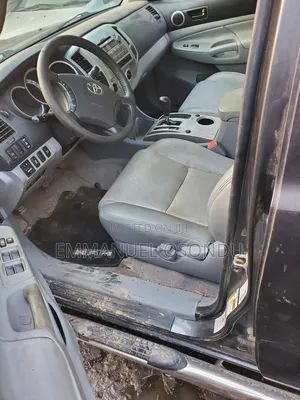 Toyota Tacoma 2010 Gray