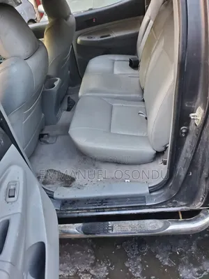 Toyota Tacoma 2010 Gray