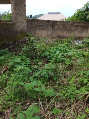 Plots 2 Complete for Sale at Olujoda Ado Ekiti
