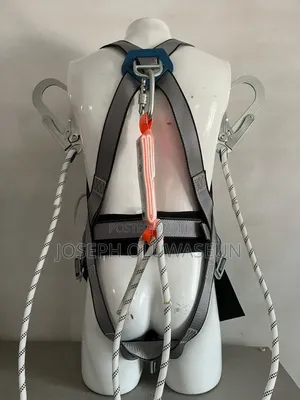 Original Safety Belt