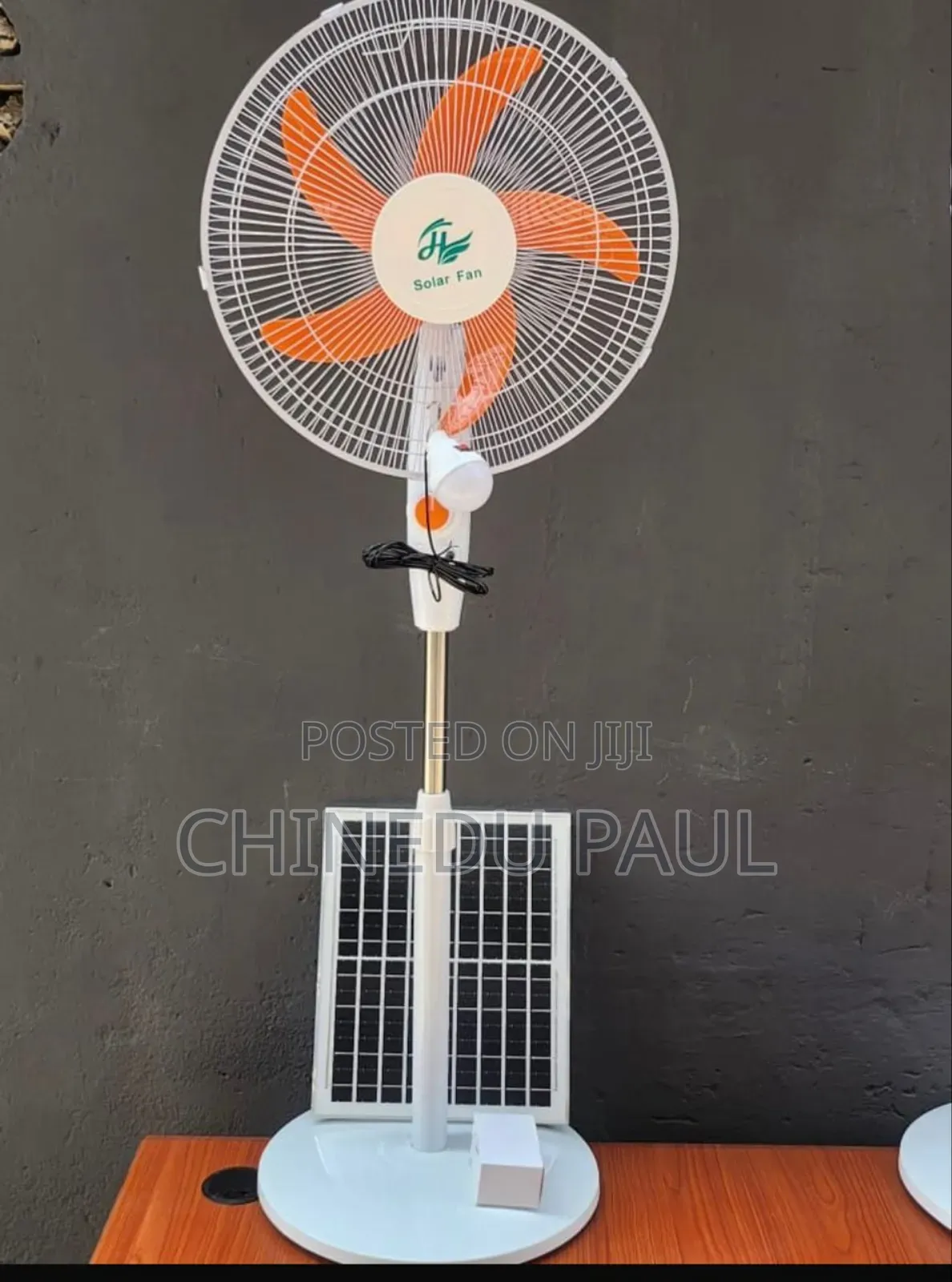 High Quality Solar Standing Fan (168)