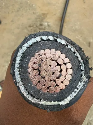 500mm Single Armored Cable