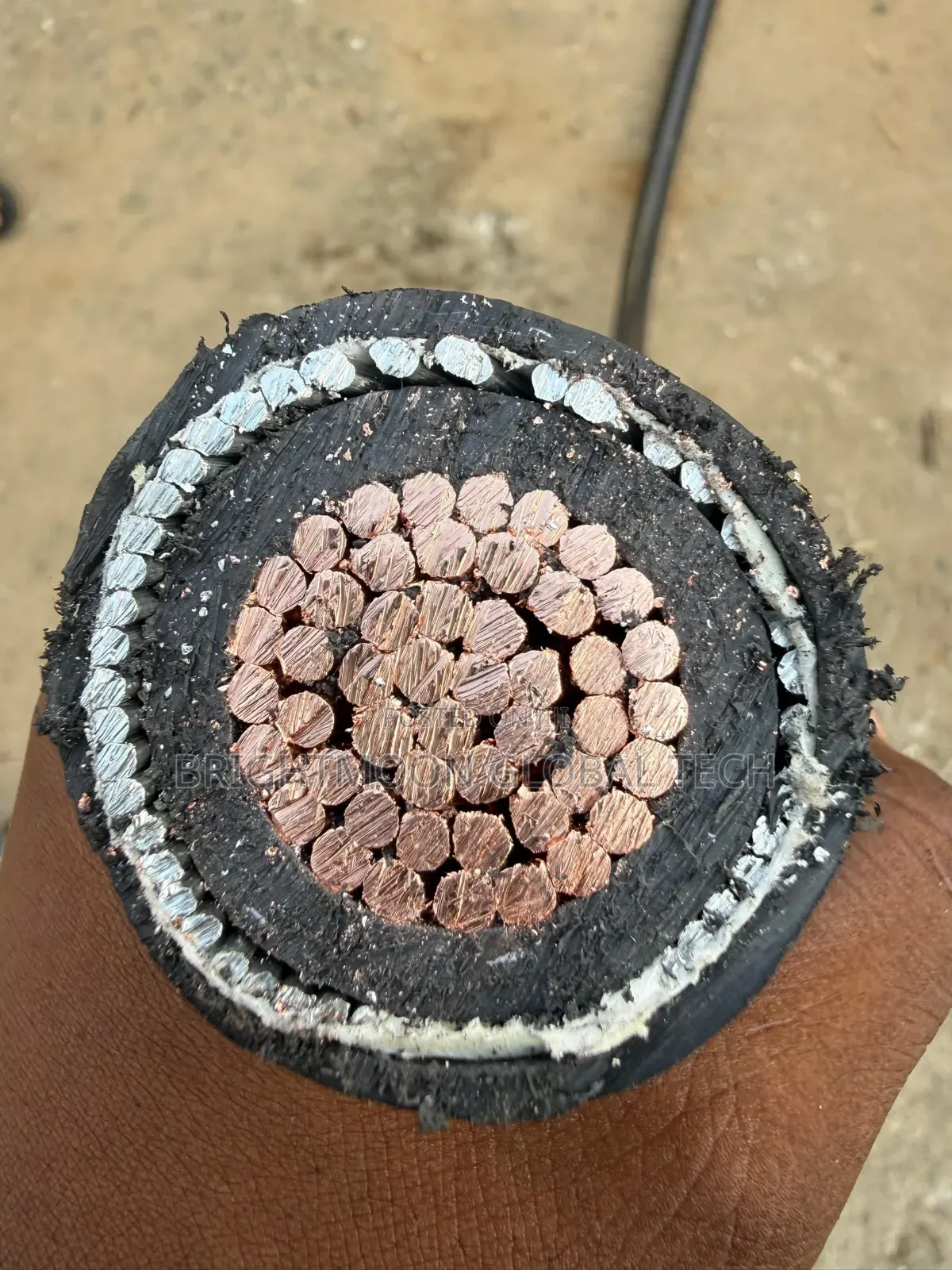 500mm Single Armored Cable