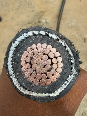 500mm Single Armored Cable